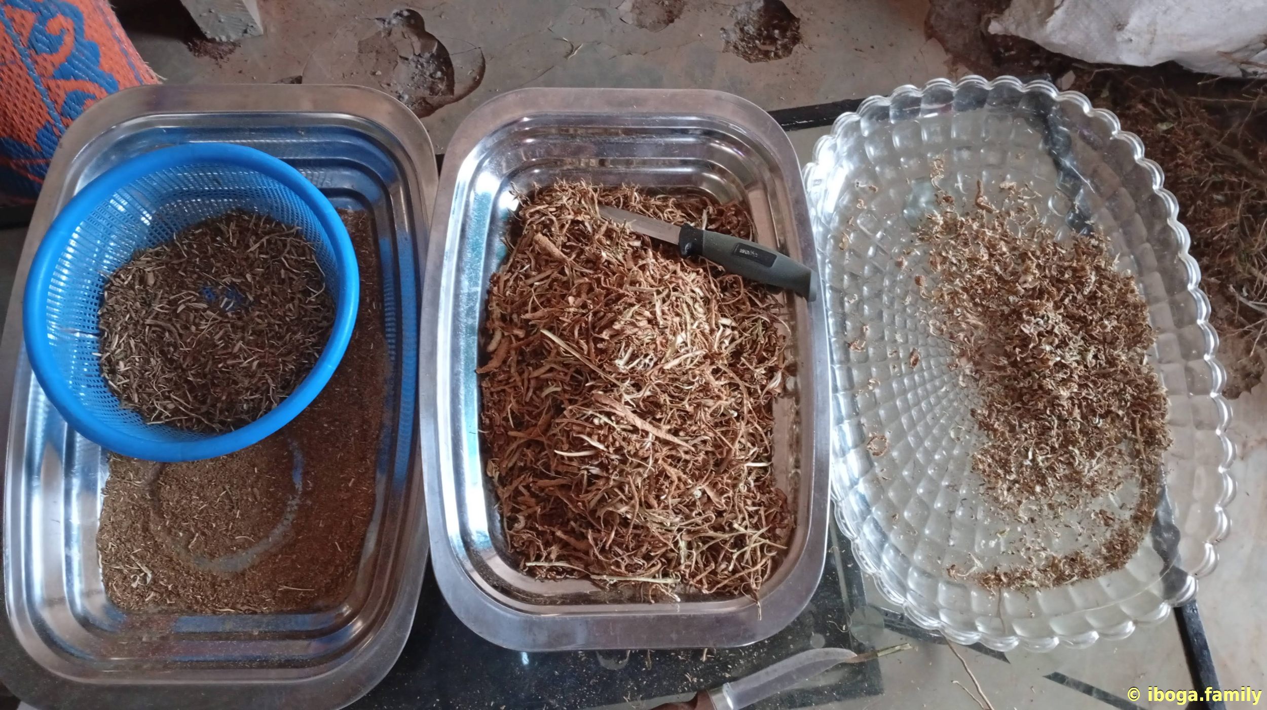 Iboga rootbark chips